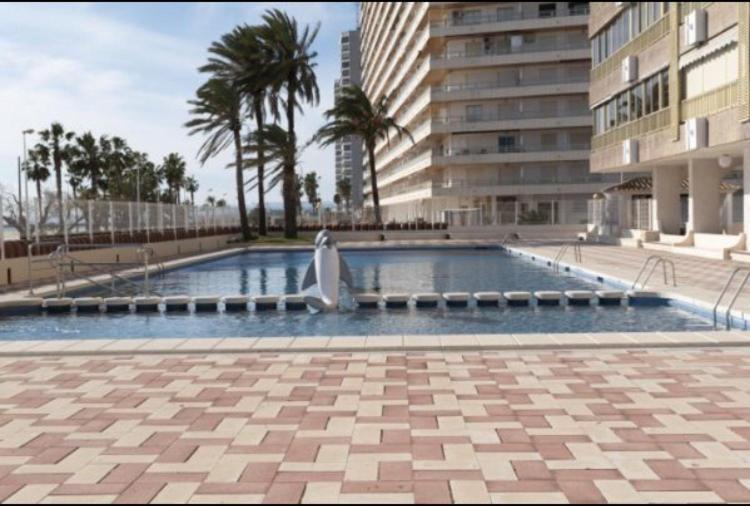 1A Linea Con Piscina Nuevo Daire Cullera Dış mekan fotoğraf